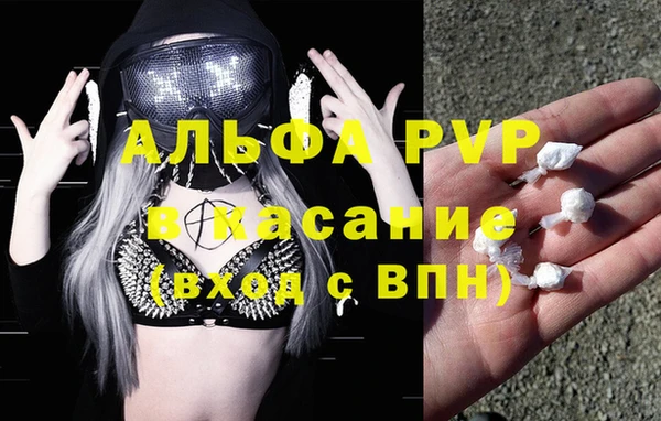 PSILOCYBIN Покров